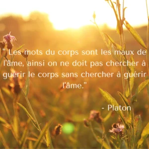 Citation du jour