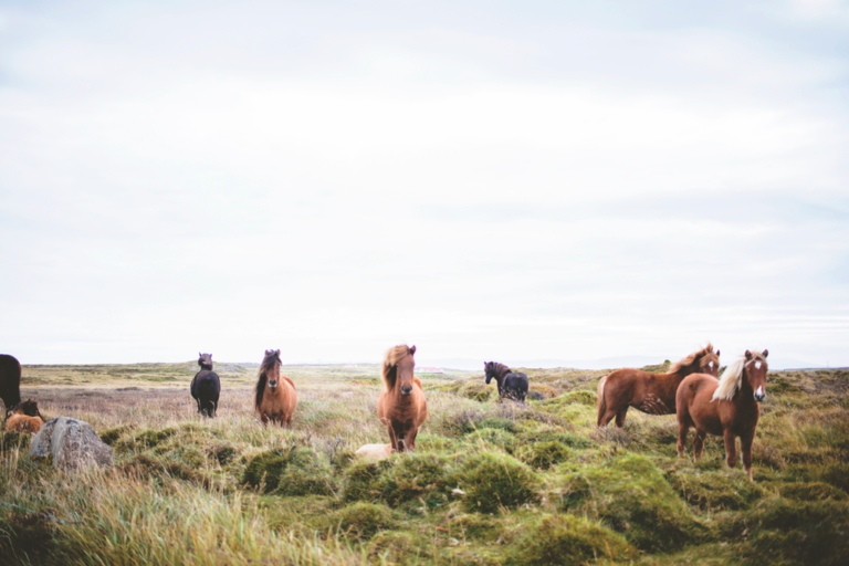 Lire la suite à propos de l’article Film « L&rsquo;âme » de Valérie Seguin
