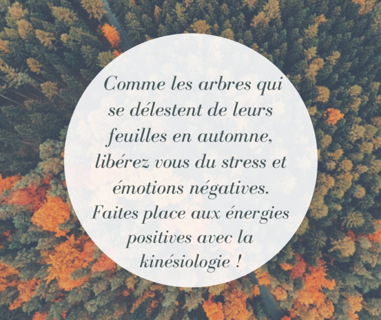 Lire la suite à propos de l’article La kinésiologie : une méthode psychocorporelle douce de libération émotionnelle